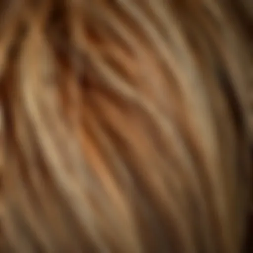 Close-up view of hair showing bumps and irregularities
