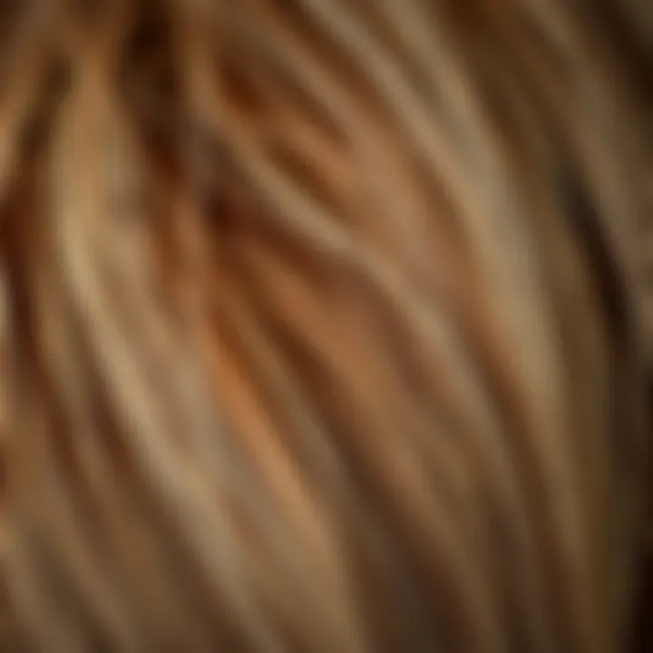Hair Bumps Close-up Close-up view of hair showing bumps and irregularities