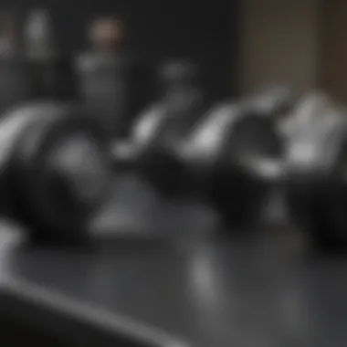 Comparative View of Weights Comparative view of adjustable dumbbells and traditional weights