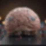 Illustration of the brain highlighting neurotransmitter activity related to anxiety medications