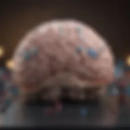 Illustration of the brain highlighting neurotransmitter activity related to anxiety medications