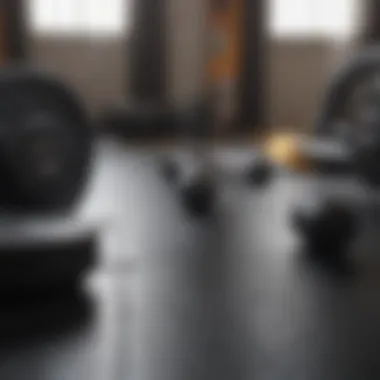 Free Weights for Versatile Strength Training A set of free weights on a gym mat