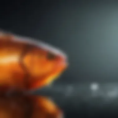 Benefits of Omega 3 from Fish Oil Summary Benefits of Omega 3 from Fish Oil Summary