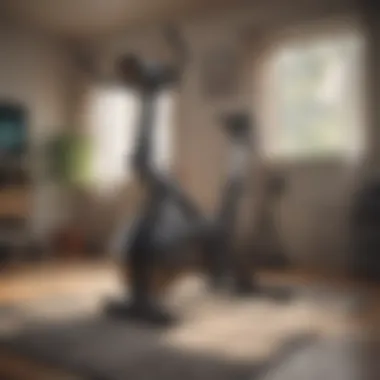 Quiet operation of an exercise bike in a cozy apartment