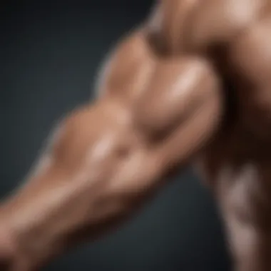 Diverse Forearm Exercises for Enhanced Strength Illustration of various forearm exercises for strength training