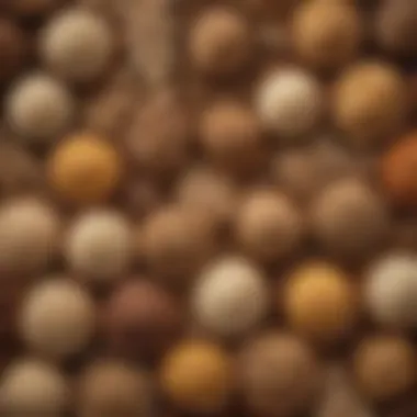 A visually appealing spread of whole grains like quinoa and brown rice