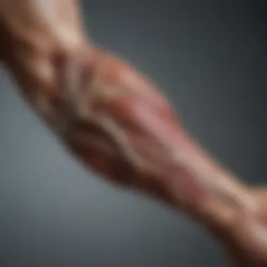 Anatomy of Forearm Muscles Anatomy of the forearm muscles