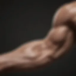 Dynamic forearm exercises for strength enhancement
