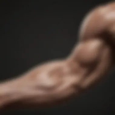Dynamic Forearm Exercises Dynamic forearm exercises for strength enhancement