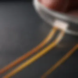 Detailed view of ketosis urine strip testing