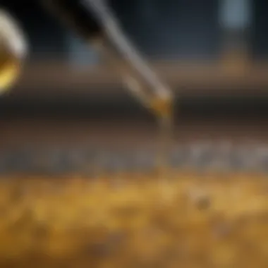 Microscopic Examination of Urine Microscopic view of urine components