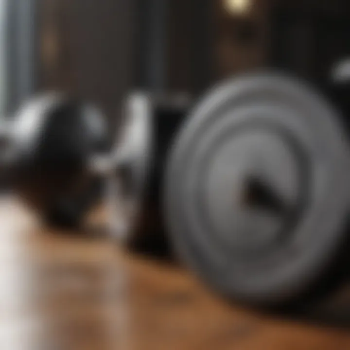 A close-up of weights showcasing resistance training