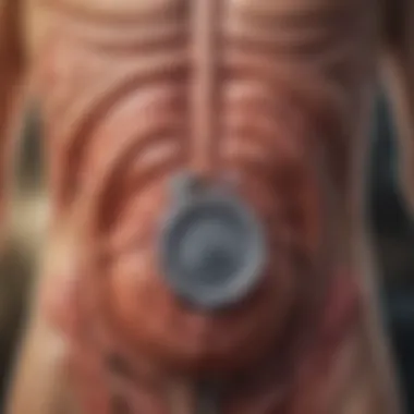 Understanding Gas Production in the Digestive System Illustration of digestive system highlighting gas production