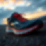Choosing the Ideal Brooks Running Shoe for Your Needs Introduction