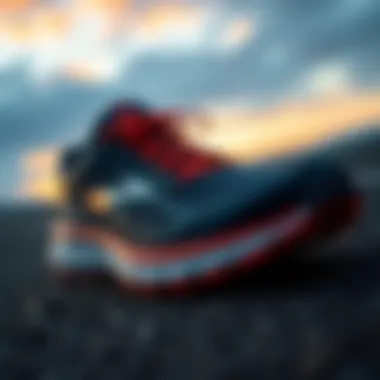 Choosing the Ideal Brooks Running Shoe for Your Needs Introduction