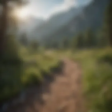 The Path to Sustainable Health A serene landscape symbolizing the journey to wellness and health.