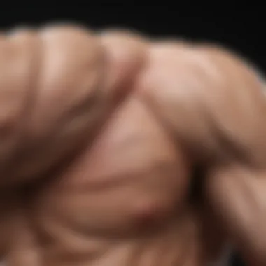 Understanding Bicep Muscle Anatomy Visual representation of bicep muscle anatomy