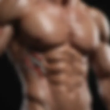 Understanding Muscle Anatomy for Growth Diagram of muscle anatomy highlighting hypertrophy areas