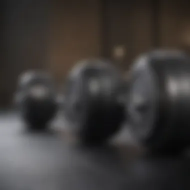 Exploring Various Dumbbell Exercises Dynamic range of dumbbell exercises
