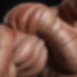 Detailed diagram of arm muscle anatomy highlighting key muscle groups