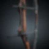 Close-up of bow workout equipment showcasing various types