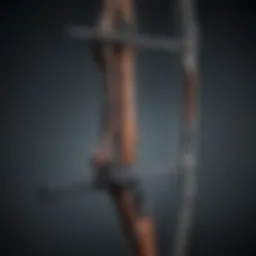 Close-up of bow workout equipment showcasing various types