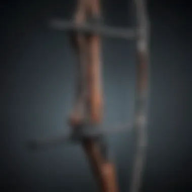 Close-up of bow workout equipment showcasing various types