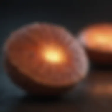 Natural ingredients known for their anti-itch properties