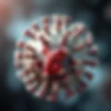 Illustration depicting the herpes simplex virus structure