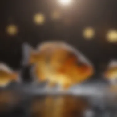 Debunking Fish Oil Myths An infographic debunking common myths about fish oil supplements.