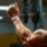 Muscle anatomy of the arms showcasing different groups
