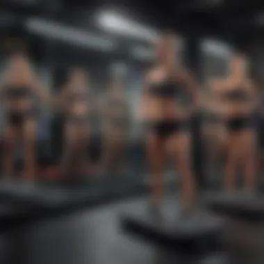 Diverse Fitness Options on Echelon Mirror Echelon Mirror displaying a fitness class with various exercise options available.