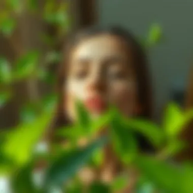 Creating a Soothing Environment for Healing Calming environment for skin recovery