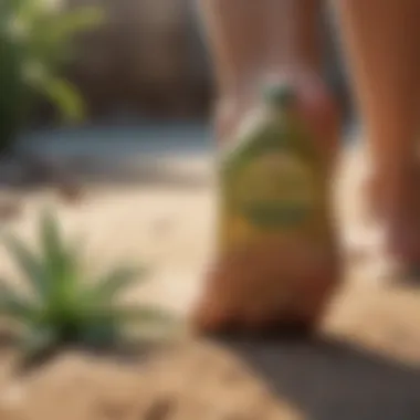 Natural Remedies for Foot Hydration Natural ingredients like aloe vera and coconut oil for foot care
