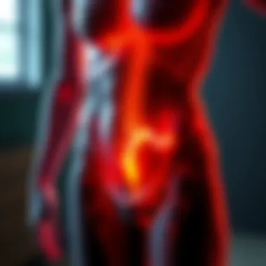 Visualization of fat burning process in the body