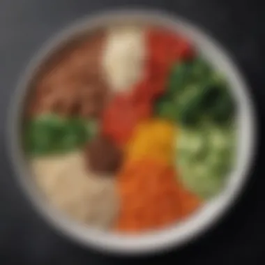 Visualizing Balanced Nutrition A balanced plate showcasing the ideal portion sizes of proteins, grains, and vegetables
