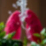 Herbal remedies for respiratory health