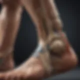 Ankle joint anatomy illustration highlighting key structures