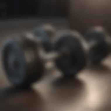 A set of dumbbells of various weights neatly arranged