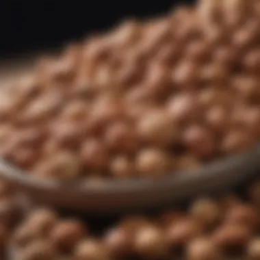 Nutrient-Rich Nuts for Liver Support A variety of nuts rich in nutrients beneficial for liver health