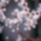 Biochemical Properties of Acetaminophen Molecular structure of acetaminophen illustrating its biochemical properties.