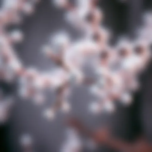 Biochemical Properties of Acetaminophen Molecular structure of acetaminophen illustrating its biochemical properties.