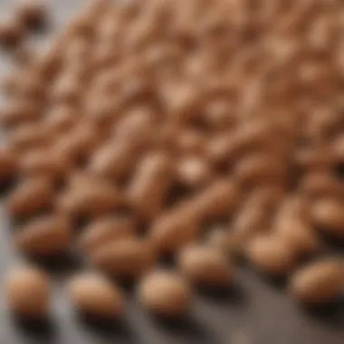 Almonds and a Healthy Lifestyle Healthy lifestyle elements with almonds
