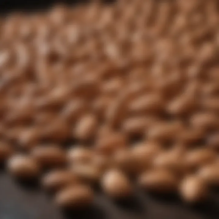 Close-up of almonds with nutritional information overlay