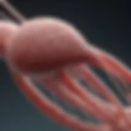 Illustration of sperm morphology analysis