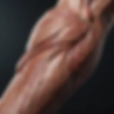 Forearm anatomy highlighting muscle groups