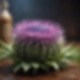 Benefits of silymarin in liver health