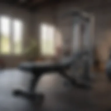 Space-Saving Compact Adjustable Bench Compact adjustable bench optimized for small home gym