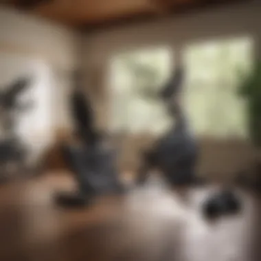 Recumbent Bike in a Home Gym Recumbent bike in a home gym setting