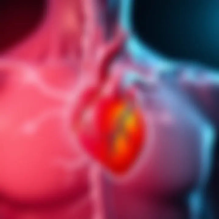 Cardiovascular and Dermatological Link An anatomical illustration highlighting the connection between the cardiovascular system and skin